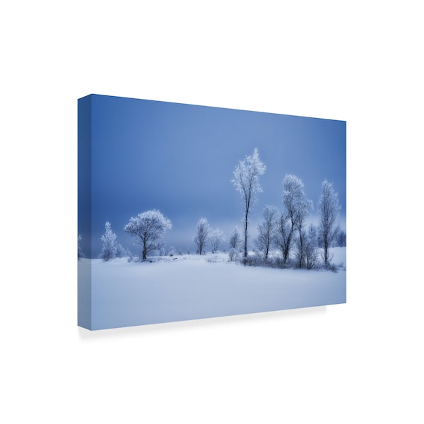 Christian Duguay 'Winter Land' Canvas Art,16x24